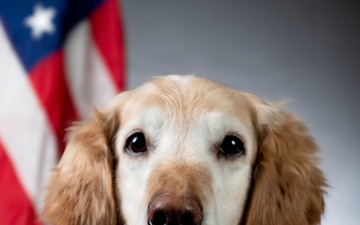 Bolt the Four-Legged Wingman of the 168th Wing