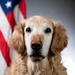 Bolt the Four-Legged Wingman of the 168th Wing