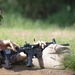 M4A1 Qual
