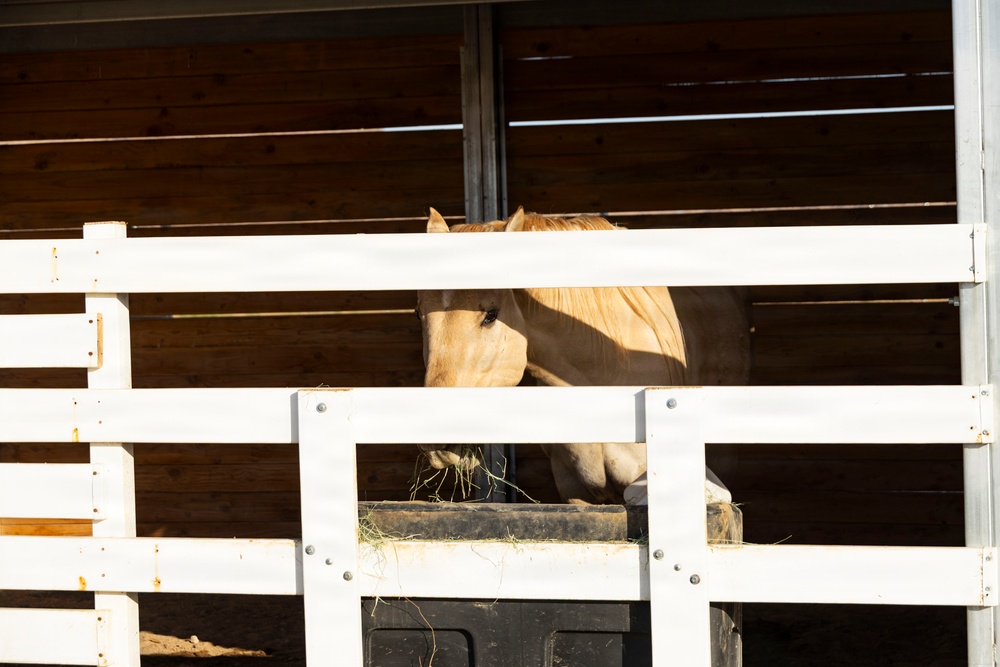 Mounted Color Guard Operations