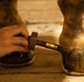 Mounted Color Guard Operations