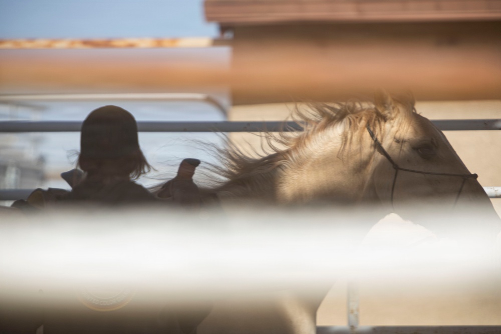 Mounted Color Guard Operations