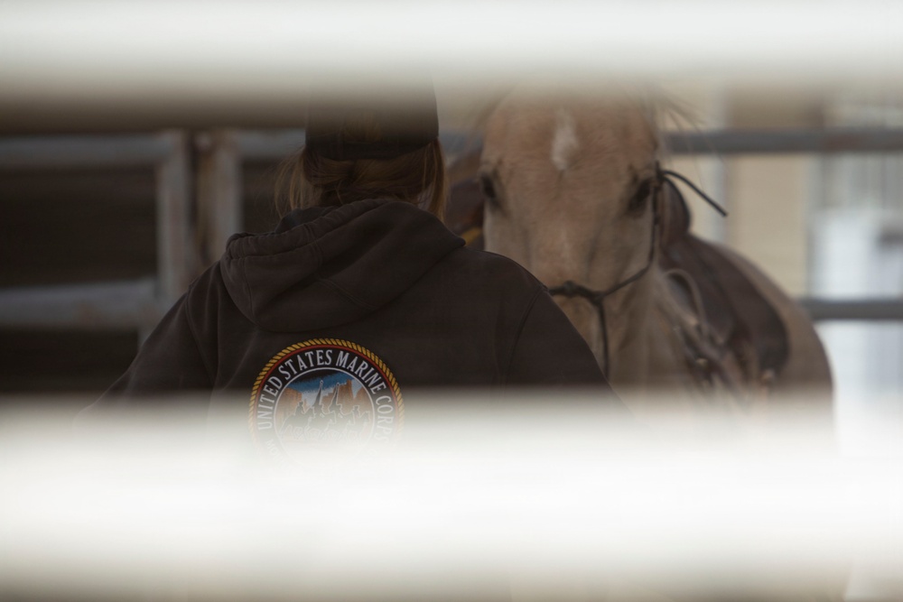 Mounted Color Guard Operations