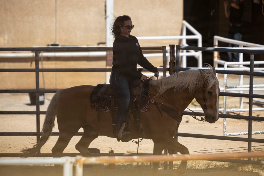 Mounted Color Guard Operations