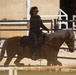 Mounted Color Guard Operations