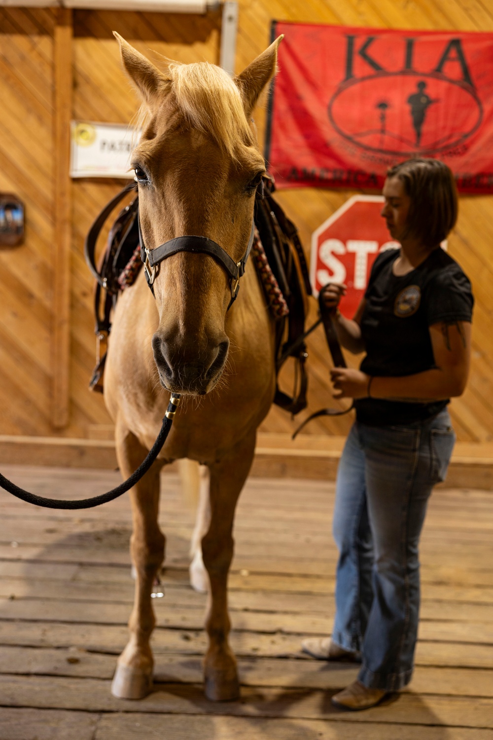 Mounted Color Guard Operations