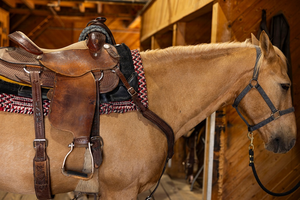 Mounted Color Guard Operations