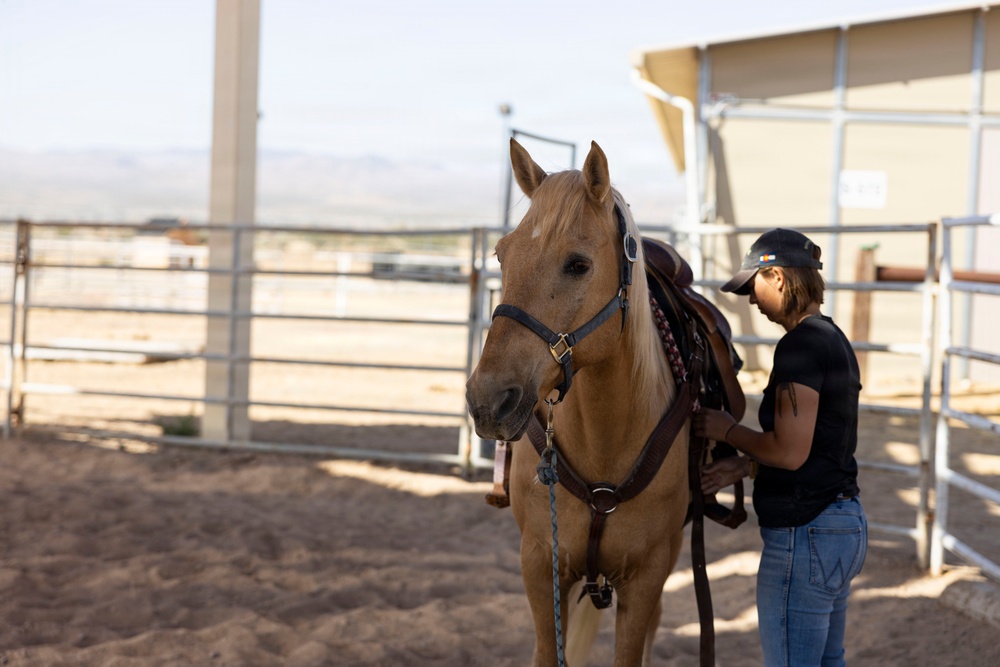 Mounted Color Guard Operations