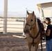 Mounted Color Guard Operations