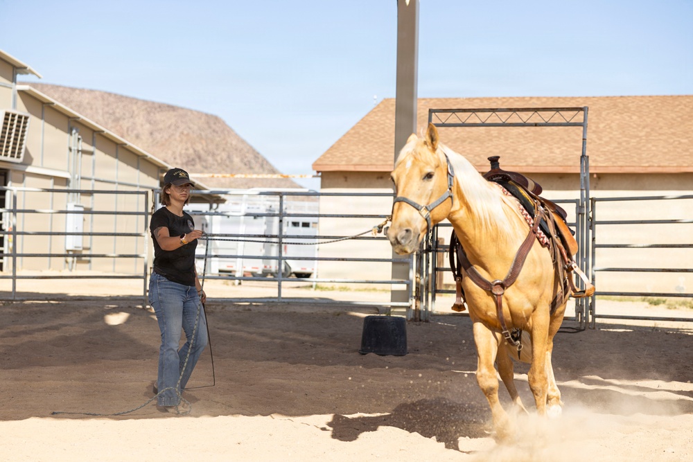 Mounted Color Guard Operations