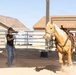 Mounted Color Guard Operations