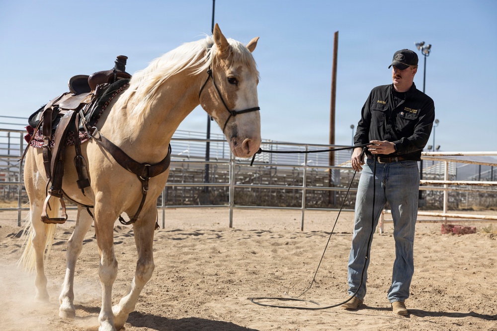 Mounted Color Guard Operations