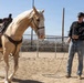 Mounted Color Guard Operations