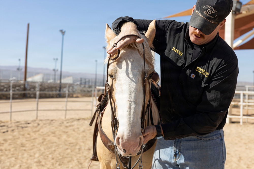 Mounted Color Guard Operations