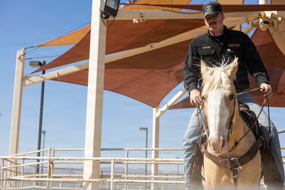 Mounted Color Guard Operations