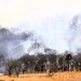 April 2026 prescribed burn operations at Fort McCoy