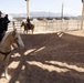 Mounted Color Guard Operations