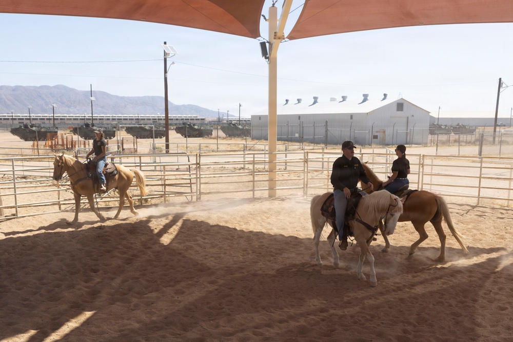 Mounted Color Guard Operations