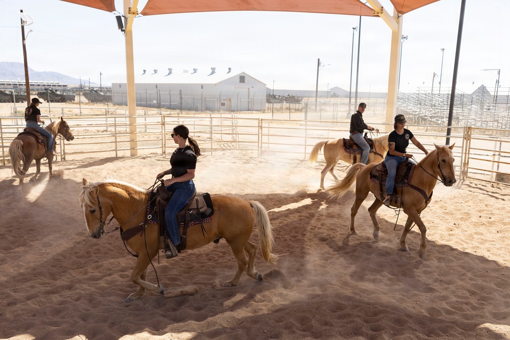 Mounted Color Guard Operations
