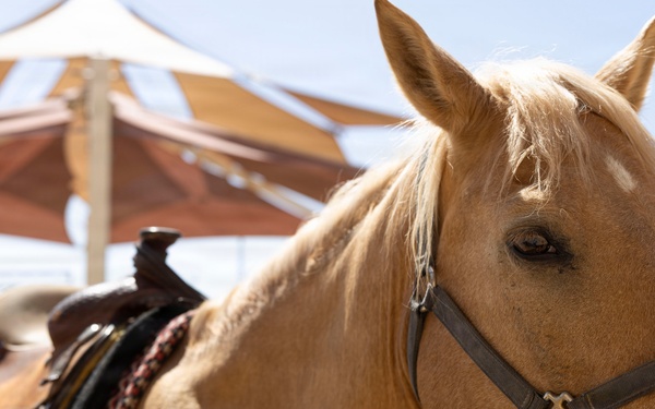 Mounted Color Guard Operations
