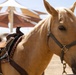 Mounted Color Guard Operations