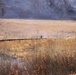 April 2026 prescribed burn operations at Fort McCoy