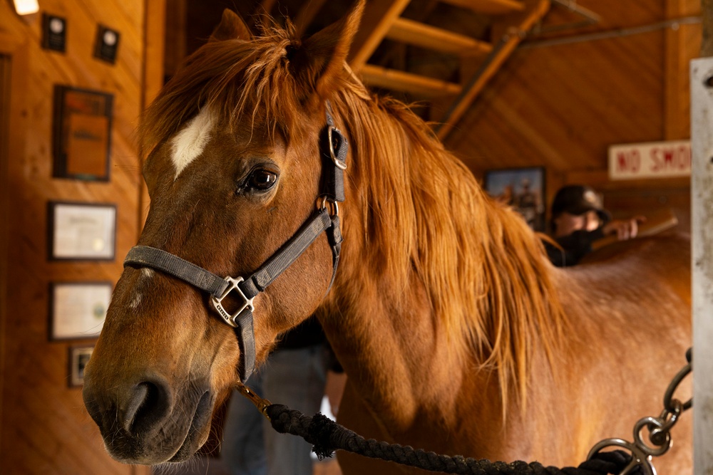 Mounted Color Guard Operations
