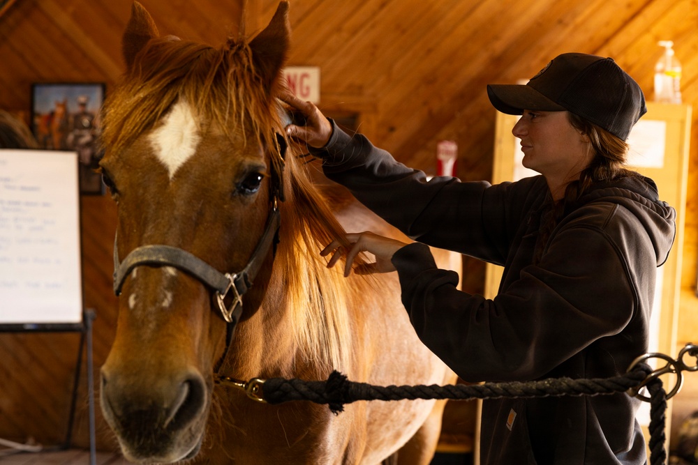 Mounted Color Guard Operations