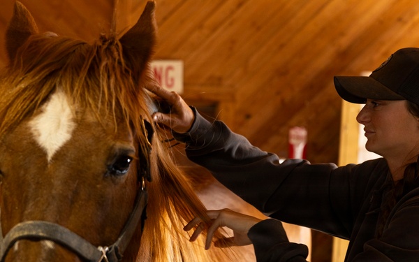 Mounted Color Guard Operations