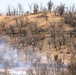 April 2026 prescribed burn operations at Fort McCoy