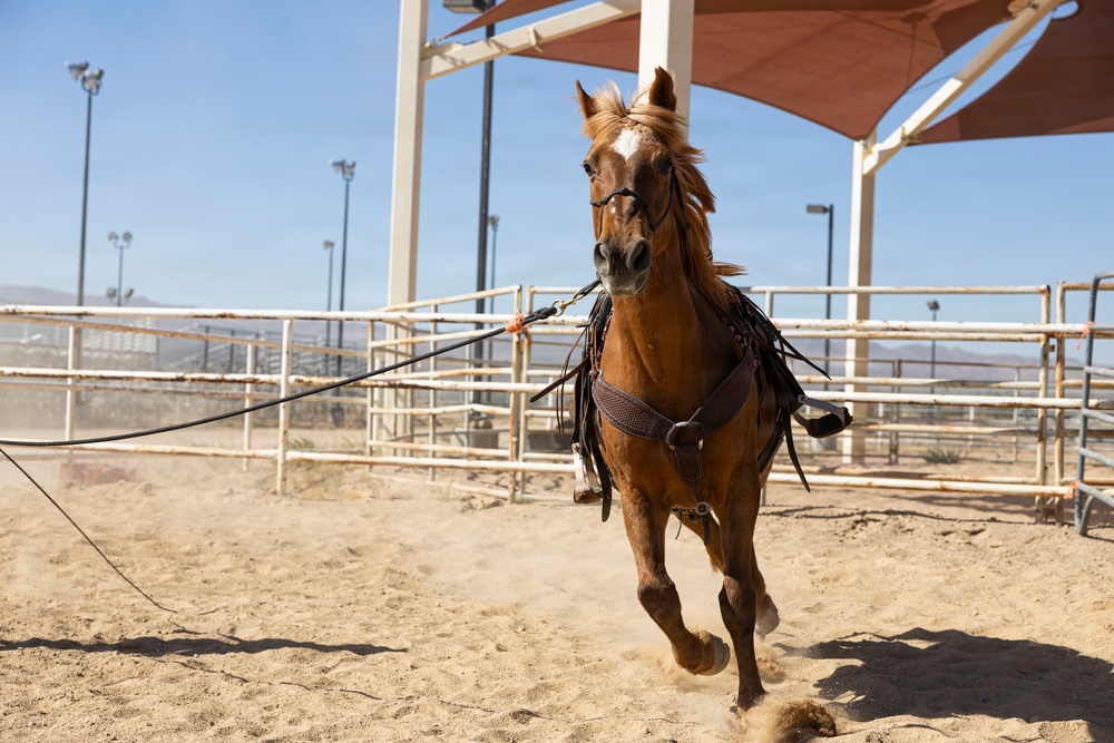 Mounted Color Guard Operations