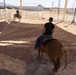 Mounted Color Guard Operations