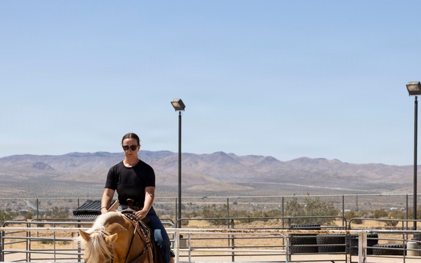 Mounted Color Guard Operations