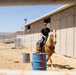 Mounted Color Guard Operations