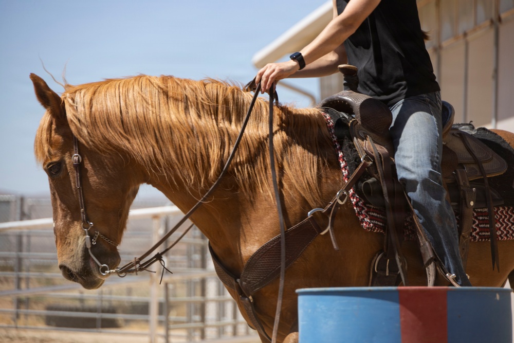 Mounted Color Guard Operations