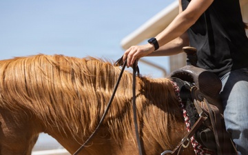 Mounted Color Guard Operations