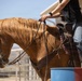 Mounted Color Guard Operations