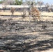 April 2026 prescribed burn operations at Fort McCoy