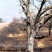 April 2026 prescribed burn operations at Fort McCoy