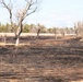 April 2026 prescribed burn operations at Fort McCoy