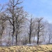 April 2026 prescribed burn operations at Fort McCoy