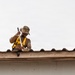 CE Airmen repair dorm roof