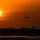 C-130 lands at a base in support of U.S. Central Command
