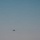 U.S. Army MQ-1 takes off