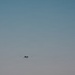 U.S. Army MQ-1 takes off