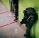 Balikatan 2026: Green Berets, Philippine special operators conduct close-quarters battle training