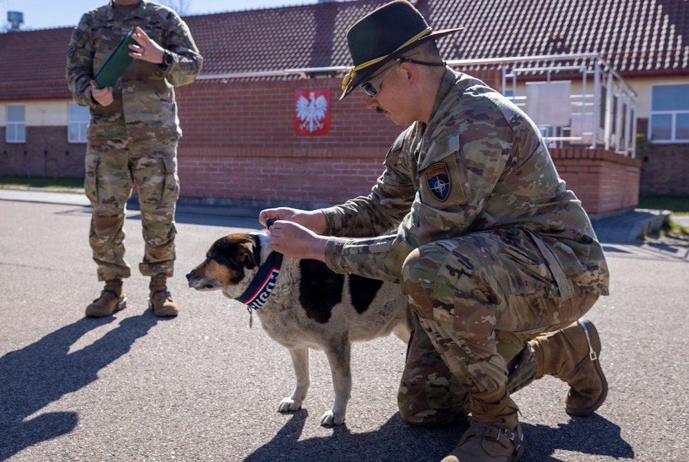 U.S. Soldiers of the NATO Forward Land Forces Battle Group-Poland award Chico the dog