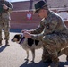 U.S. Soldiers of the NATO Forward Land Forces Battle Group-Poland award Chico the dog