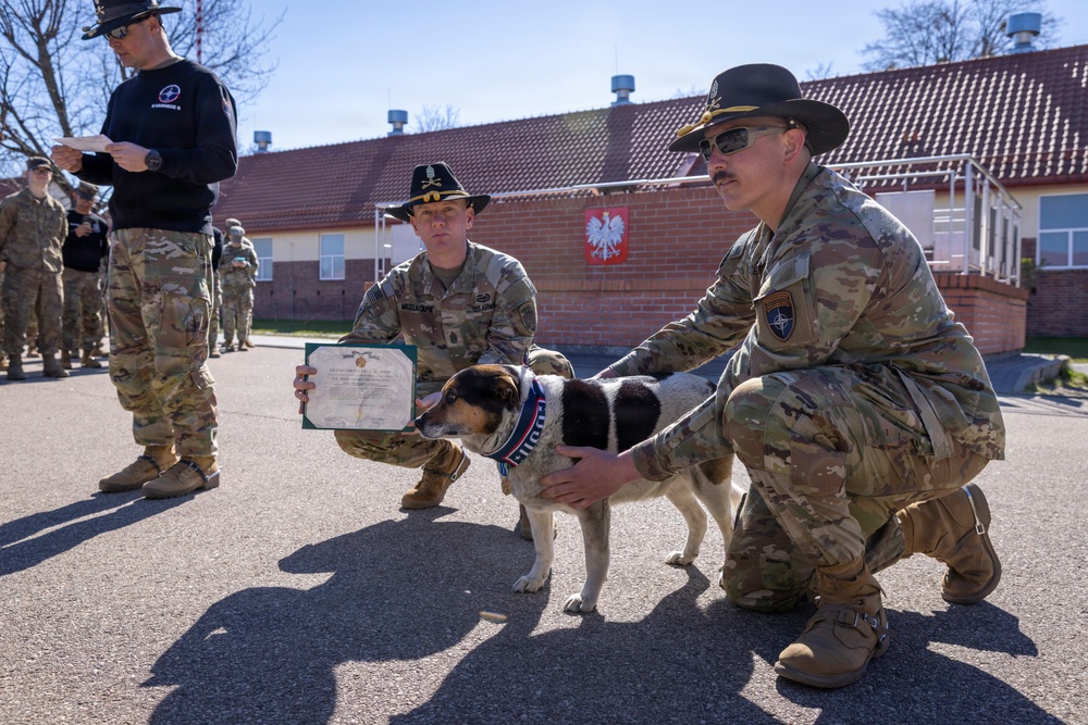 U.S. Soldiers of the NATO Forward Land Forces Battle Group-Poland award Chico the dog