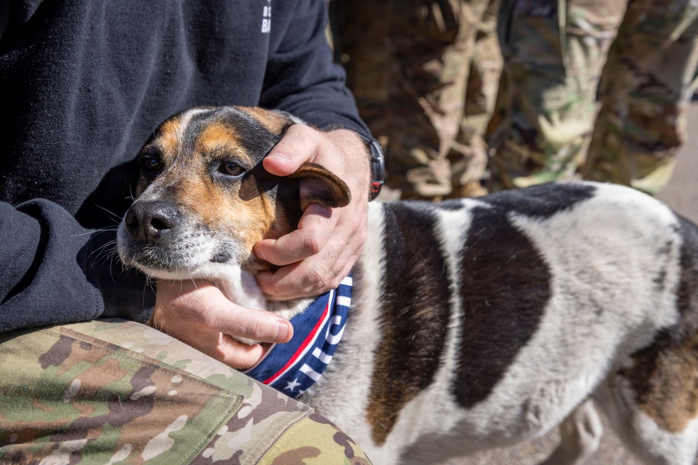 U.S. Soldiers of the NATO Forward Land Forces Battle Group-Poland award Chico the dog